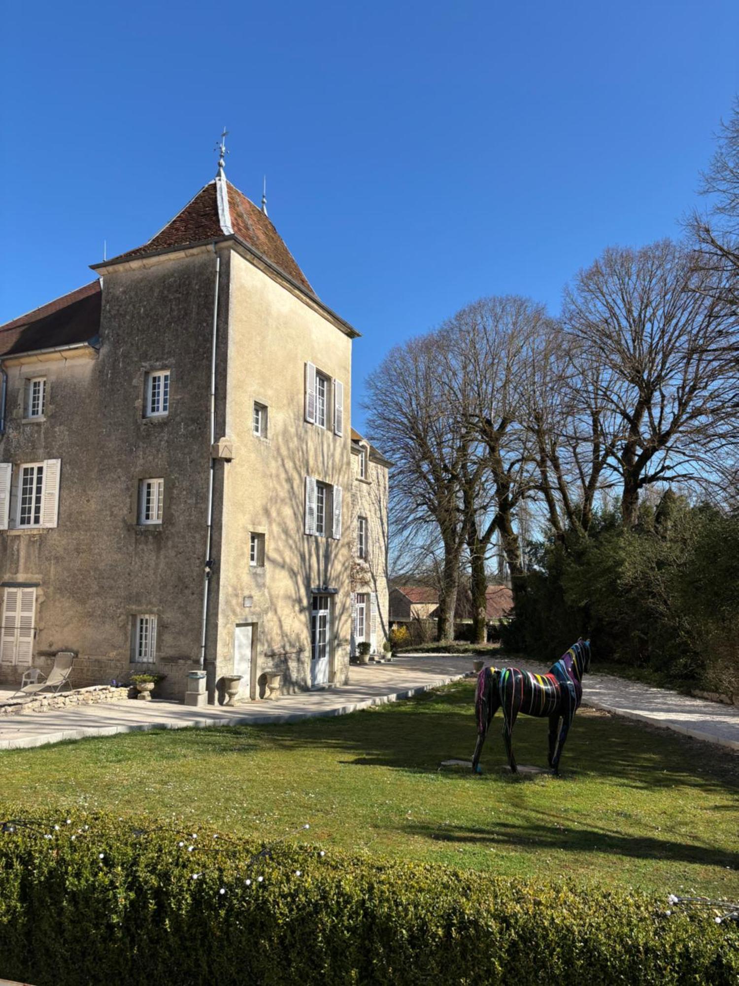 Chateau La Hussardiere Dampierre-sur-Salon Exteriör bild
